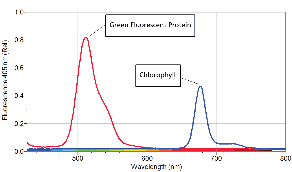 Fluorescence Spectroscopy