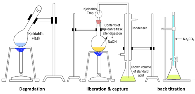 Semi-micro Kjeldahl Assay Service