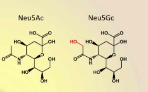 Siliac Acid Analysis