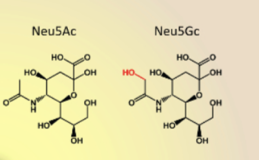  Siliac Acid Analysis