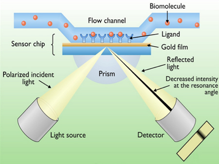 surface plasmon resonance spr service pronalyse surface plasmon resonance