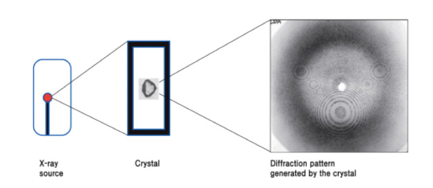 X-ray Crystallography