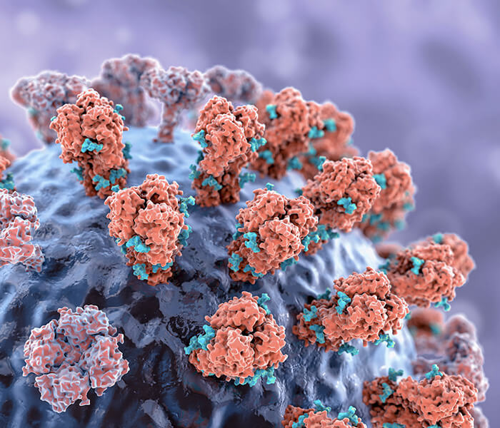 mAB De Novo Sequencing