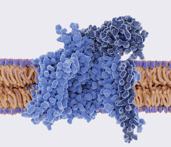 Charge heterogeneity analysis