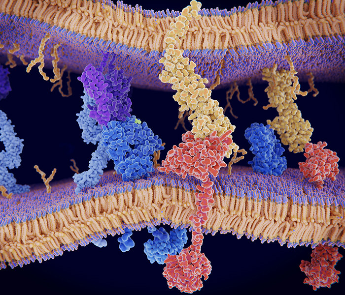 Protein Homogeneity Analysis