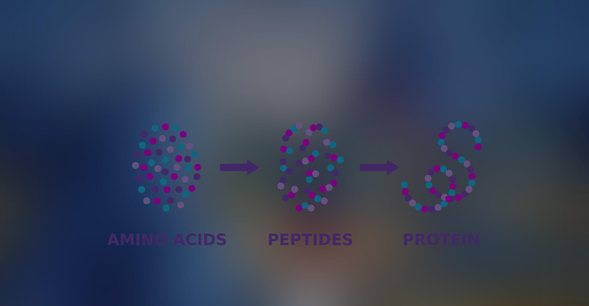 Experience Excellence with Our De Novo Protein Sequencing Service