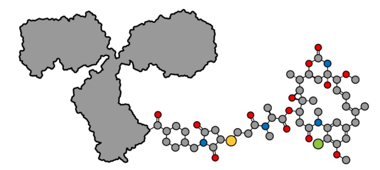 ADCs molecular