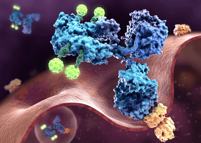 Antibody Drug Conjugates Characterization