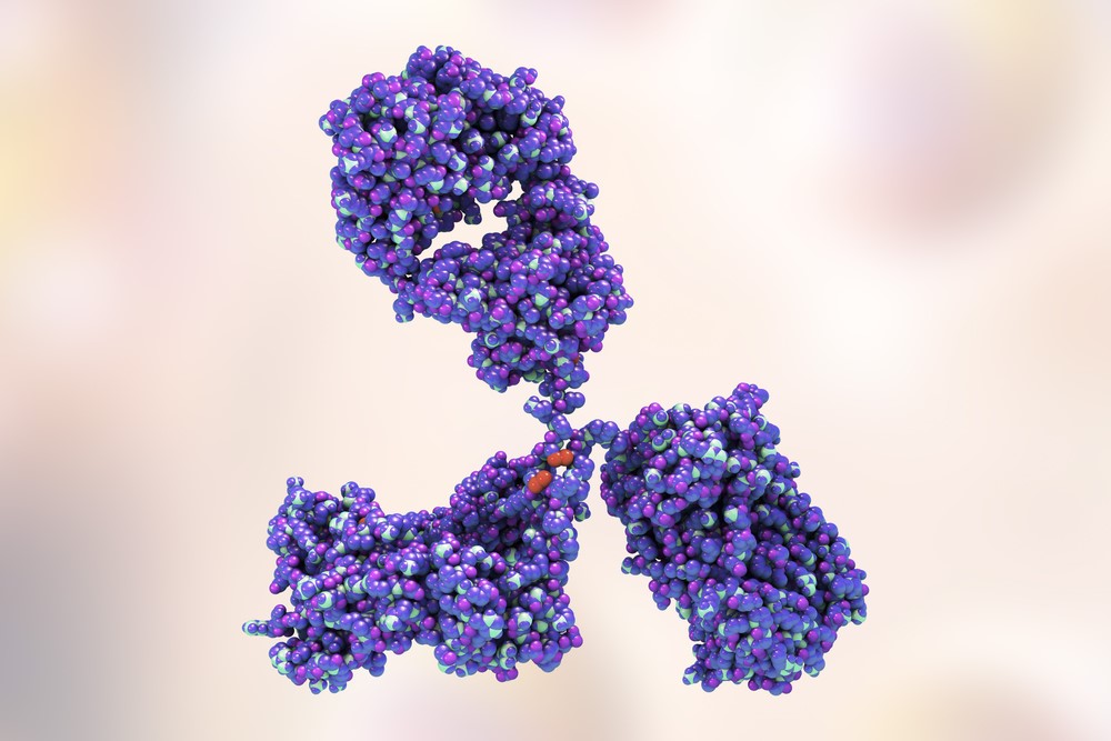 Antibody Drug Modification Analysis