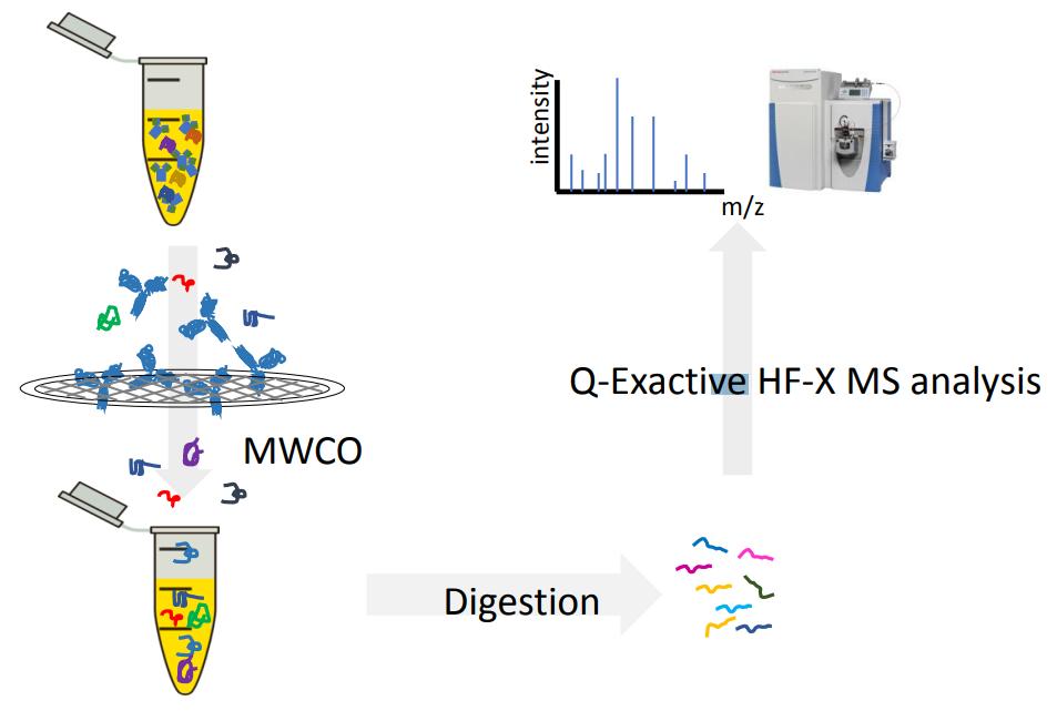 The HCP characterization technique based on MWCO