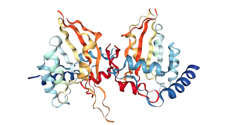 Vaccine Advanced Structure Analysis