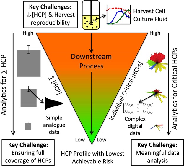 Figure 1. HCP in the biopharmaceutical process