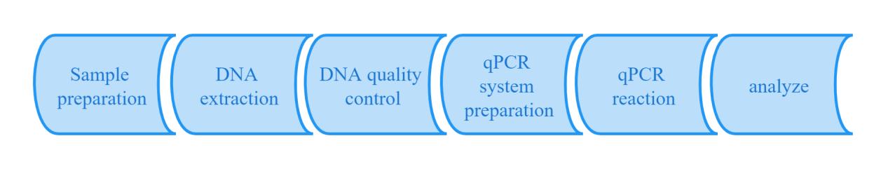 Residual Host Cell DNA Testing workflow