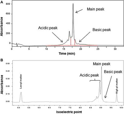 Amino Acid Composition of AIST-MAB Determined by ID-LC-MS/MS