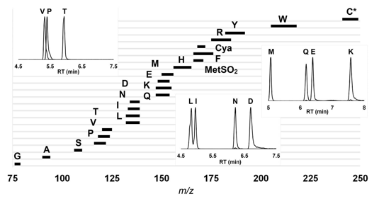 Amino Acid Composition Analysis Service