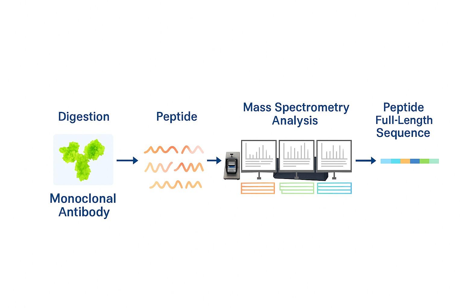Antibody Sequencing Workflow