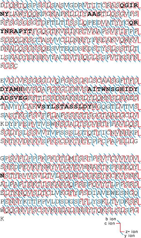 Comprehensive fragment ion coverage maps, highlighting the depth of sequence information obtained.