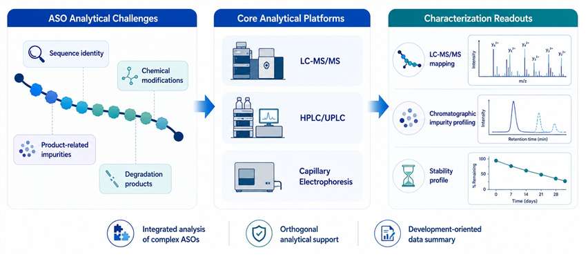 ASO characterization schematic showing analytical challenges, core platforms, and key readouts.