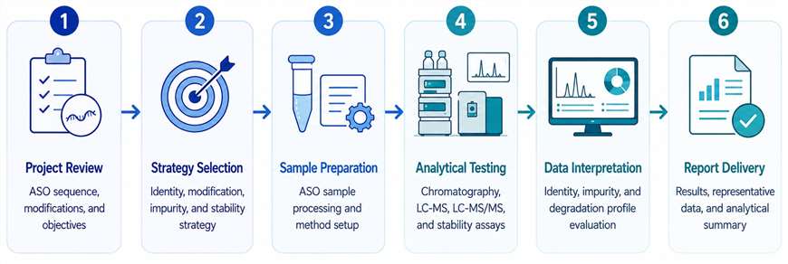 Workflow diagram showing ASO characterization from project review and strategy selection to sample preparation, analytical testing, data interpretation, and report delivery.
