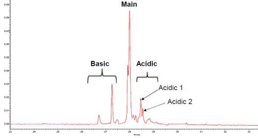 Figure 2. Analysis of isoelectric point and charge heterogeneity of monoclonal antibody drugs by CIEF[5]