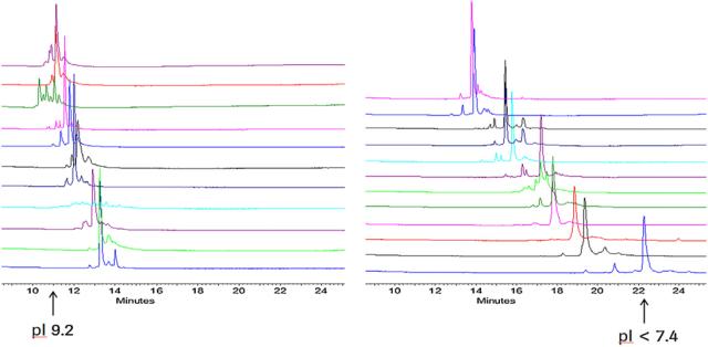 Figure 3. Charge heterogeneity analysis of 23 monoclonal antibody drugs using the same CZE method