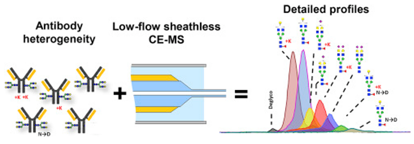 Antibody homogeneity analysis