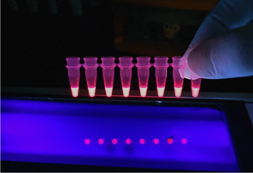 Application of Fluorescence Spectroscopy