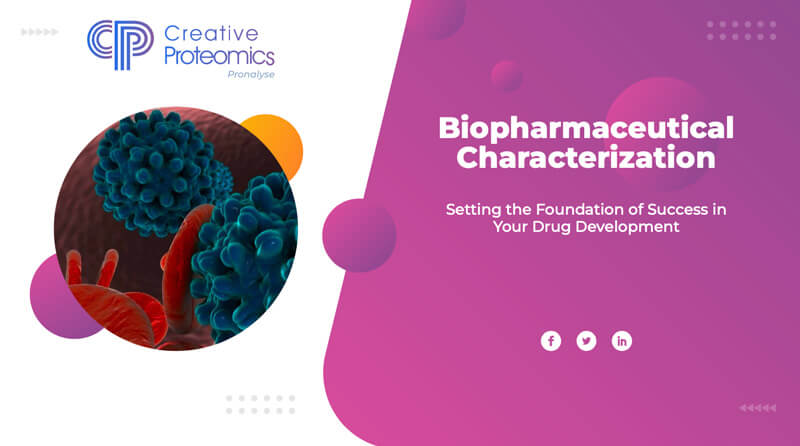  Antibody Drug Characterization