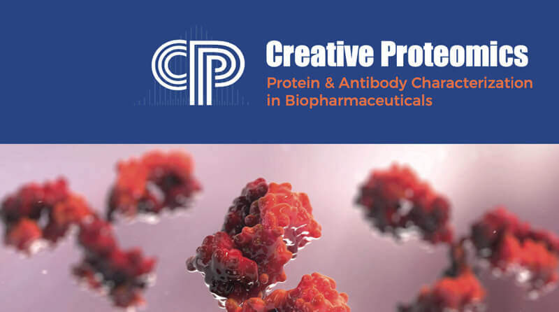 Protein & Antibody Characterization in Biopharmaceuticals