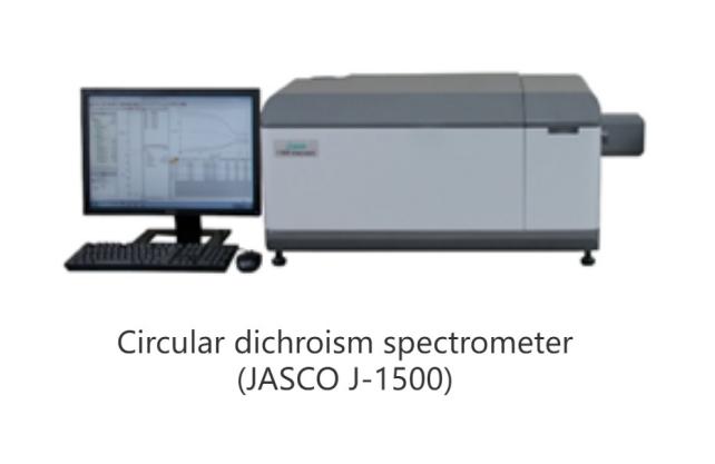 Circular Dichroism Spectroscopy Analysis Service-Protein Structure Elucidation