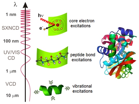 Circular Dichroism Spectroscopy Analysis Service