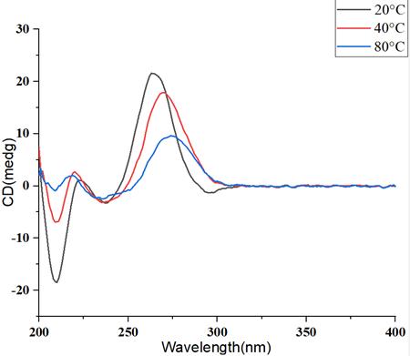Figure 4: Circular Dichroism Spectra of mRNA at Different Temperature Gradients