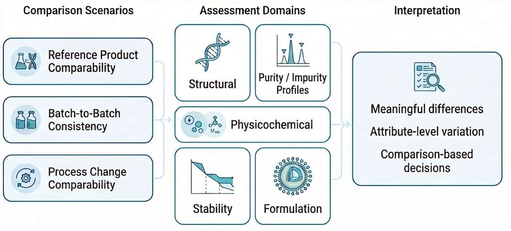 Conceptual framework showing comparative analysis across comparison scenarios, assessment domains, and interpretation outcomes for nucleic acid therapeutics.