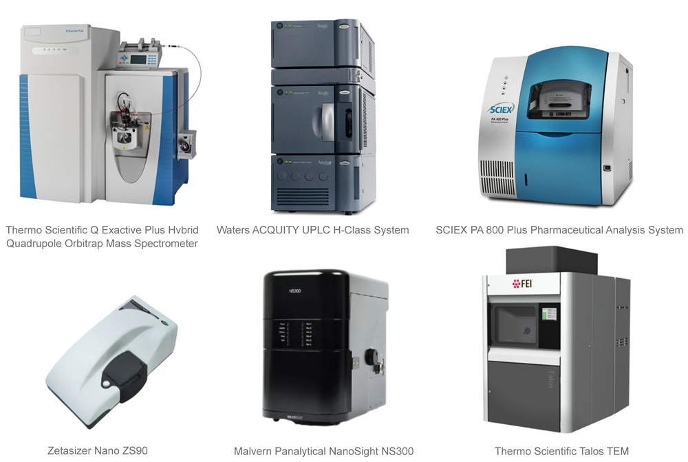 Technology platforms for nucleic acid therapeutic comparative analysis, including LC-MS, UPLC, CE, DLS, NTA, and TEM instruments for molecular, separation-based, electrophoretic, and formulation-related characterization.