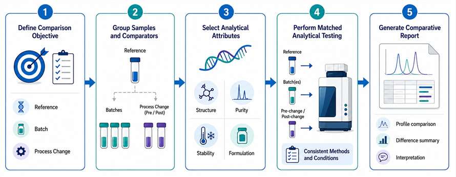 Workflow showing five key steps for comparative analysis of nucleic acid therapeutics, including comparison objective definition, sample grouping, analytical attribute selection, matched analytical testing, and comparative report generation.