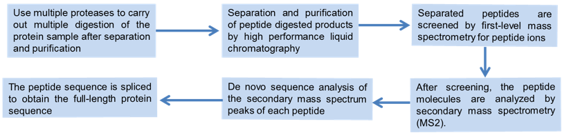 De Novo Protein Sequencing Service