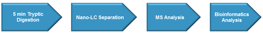 Deamidation and Oxidation Analysis Service