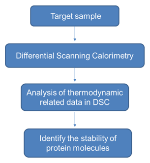 Differential Scanning Calorimetry Service