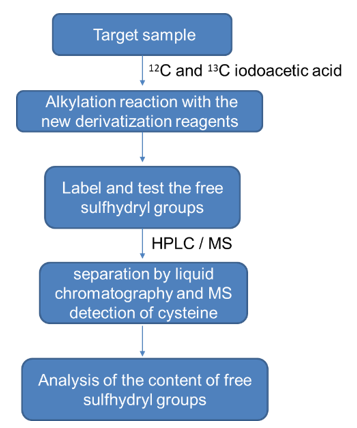 Disulfide Bridges & Free Sulfhydryl Groups Analysis Service