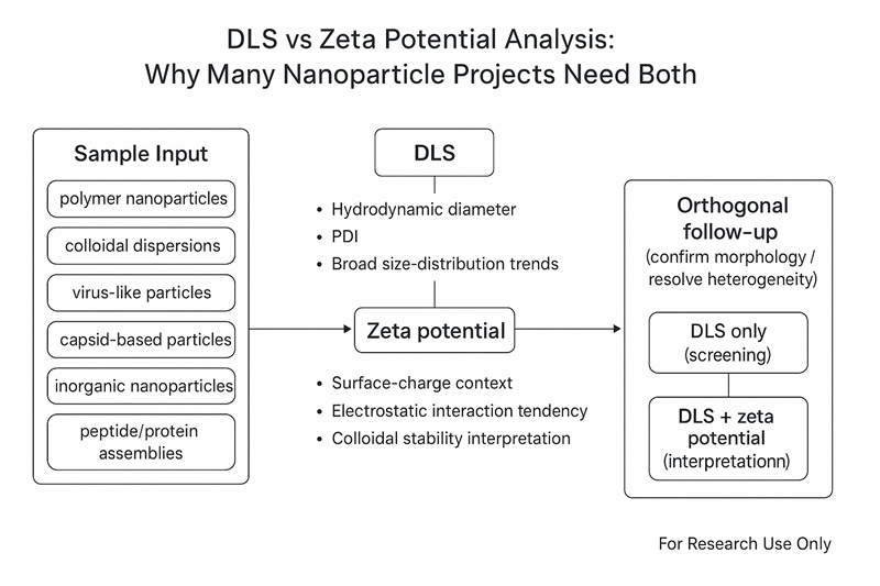 Decision workflow comparing DLS and zeta potential analysis for nanoparticle size and surface charge characterization