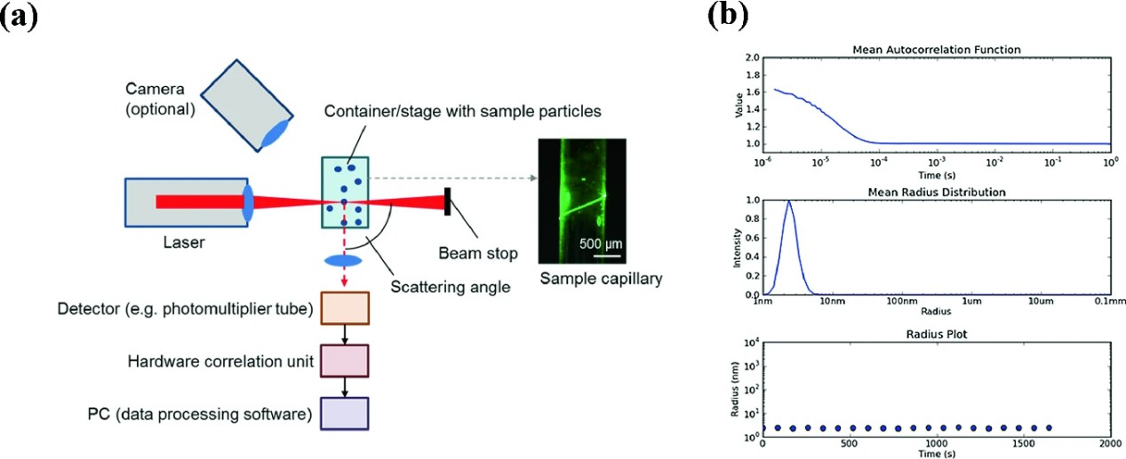 Schematic diagram of the DLS device