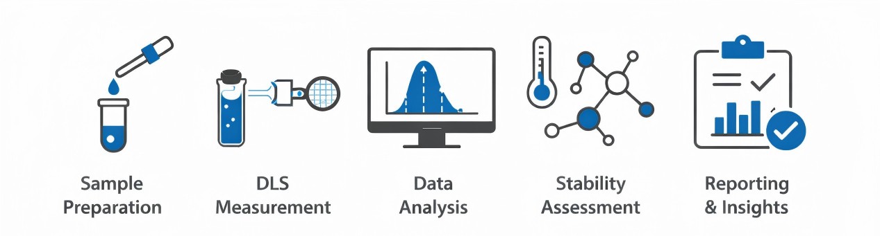 Workflow of Creative Proteomics' DLS service