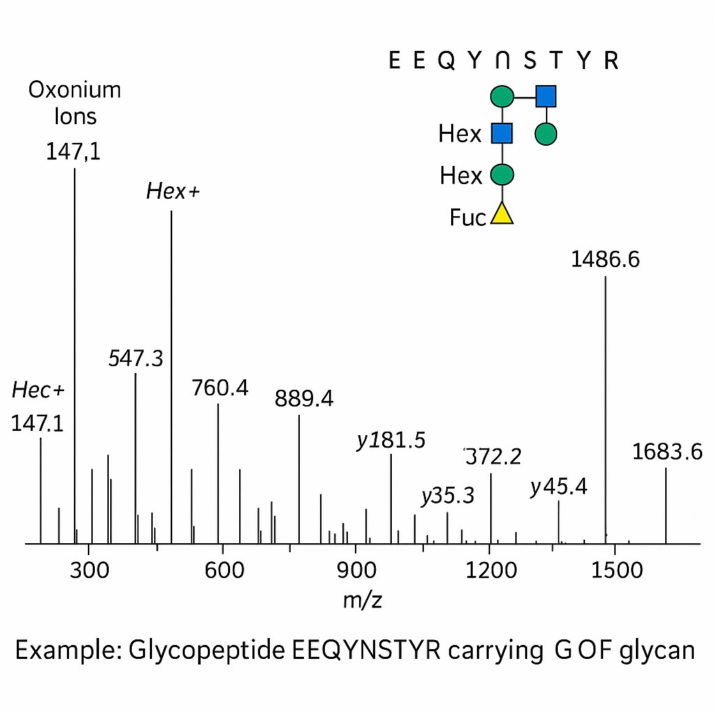 Example of Glycopeptide EEQYNSTYR carrying G OF glycan
