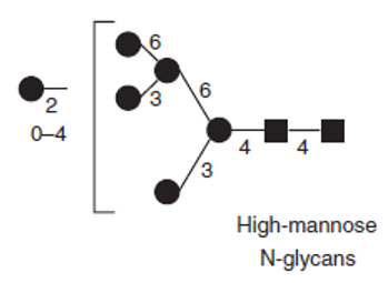 Glycosylation Analysis