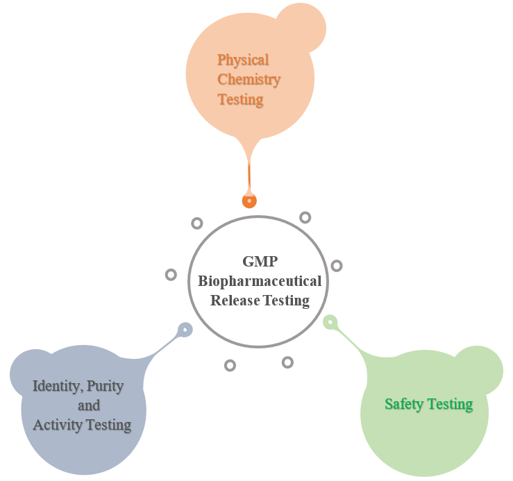 Biologics Release Testing Services