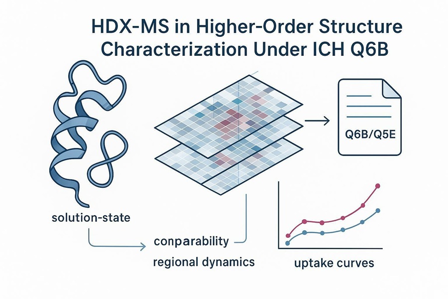 Cover image: HDX-MS HOS characterization under ICH Q6B showing protein ribbon, peptide heatmap, and deuterium uptake curves