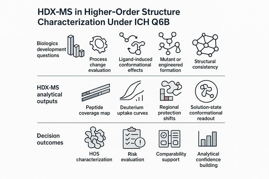 HDX-MS HOS characterization workflow under ICH Q6B for biologics comparability and solution-state conformational analysis