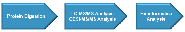 Host Cell Proteins Analysis