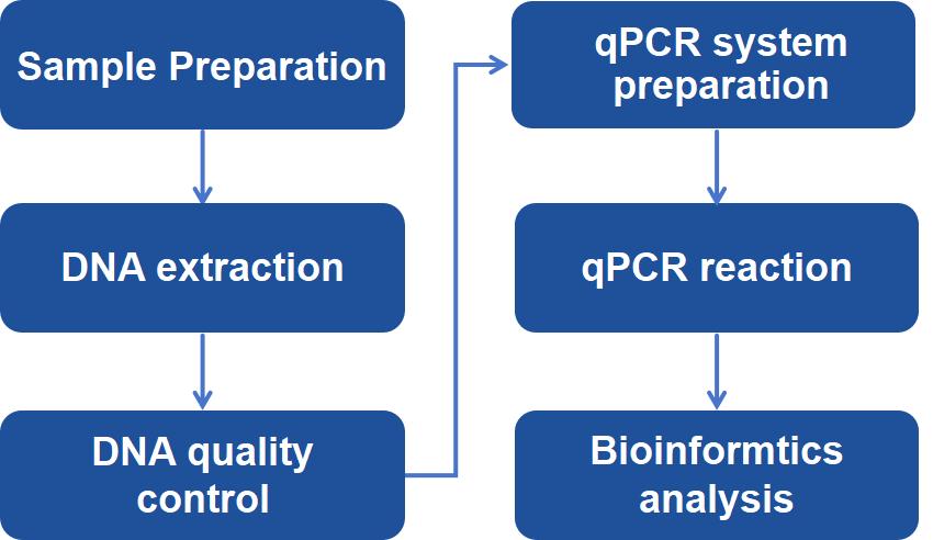 Host cell residual DNA analysis workflow