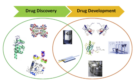 Hydrogen Deuterium Exchange Mass Spectrometry (HDX-MS)